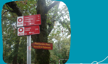 People Powered Tourism: From Shared Ideas to Pi...